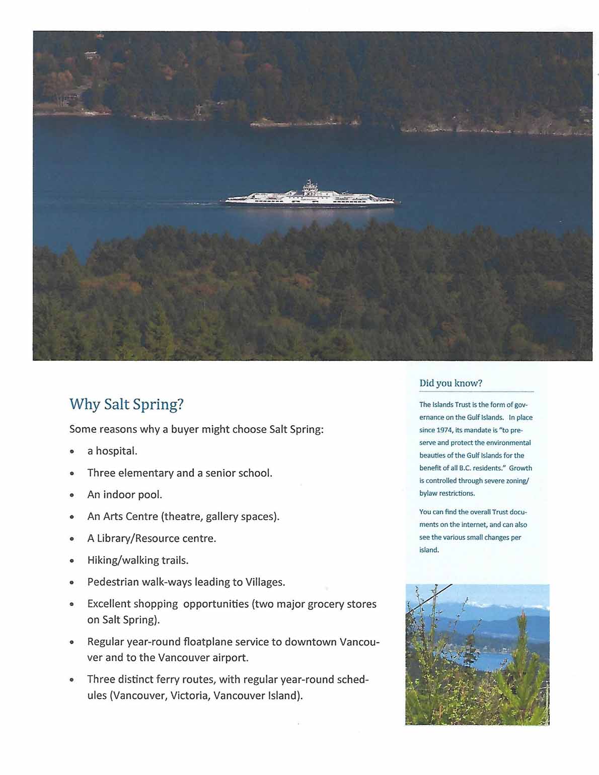 Newsletter - page 3