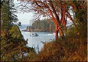Portland Island