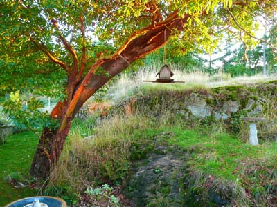 Fall on Salt Spring Island