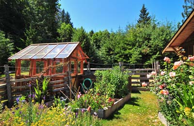 Summer Garden