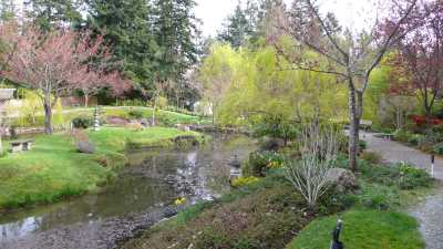 Japanese Memorial Garden