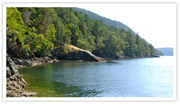 Narrows West