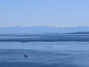 Pender Island Viewscape