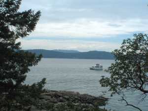 Wise Island