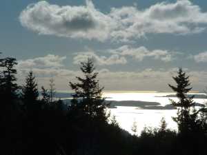 Oceanview Acreage