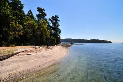 Beach on Pym Island