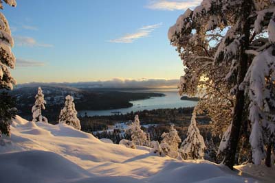 Snowy View