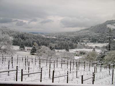 Winter comes to Salt Spring Island