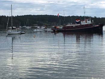 Boats in Ganges Harbour, Salt Spring Island